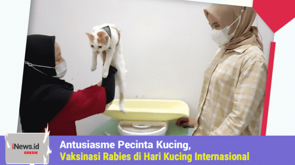 Antusiasme Pecinta Kucing Ikuti Vaksinasi Rabies di Hari Kucing Sedunia