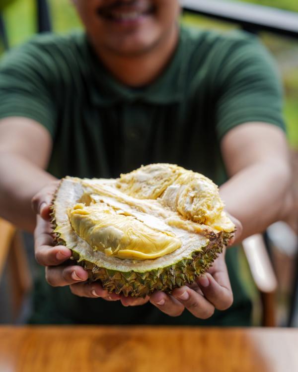 Pecinta Durian Wajib Tahu, Jowey Kitchen Sajikan Menu Serba Durian