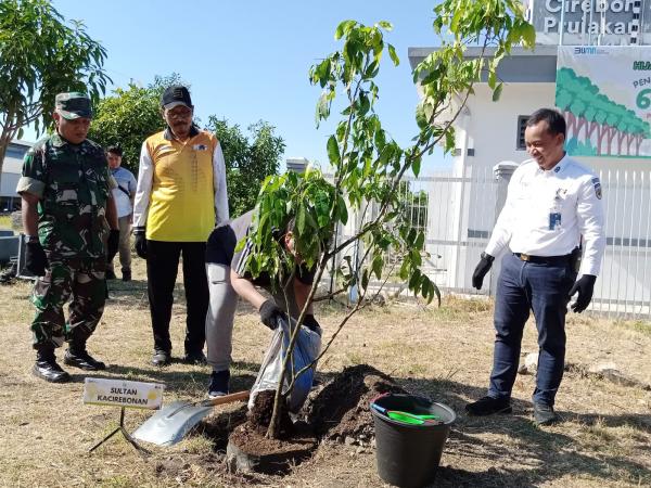 KAI Hijaukan Kota Cirebon, Tanam 654 Pohon untuk Bantu Capai Target Emisi