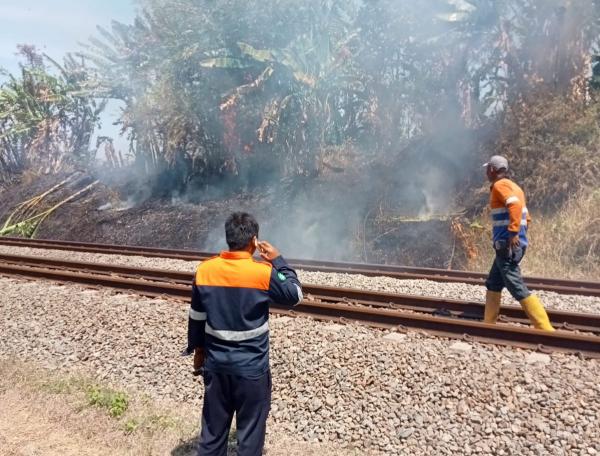 Bahaya! Jangan Bakar Sampah atau Rumput di Dekat Jalur Rel Kereta Api, Ini Efeknya