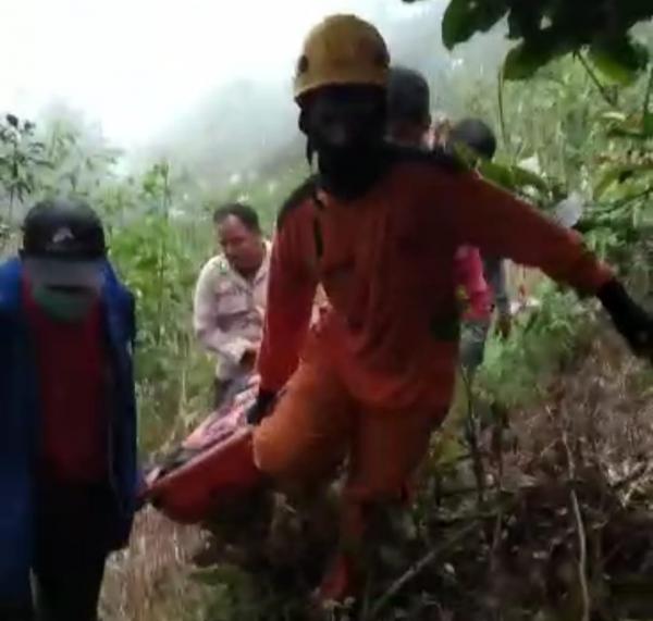 Kakek Lamba di Tana Toraja yang Dikabarkan Hilang, Ditemukan Tewas di Hutan