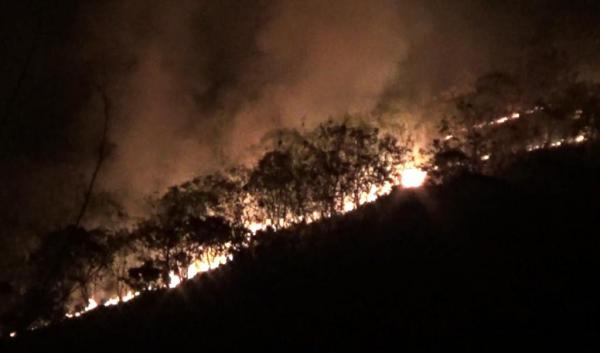 Hutan Lindung di Ponorogo Kembali Terbakar, Ada di 2 Kecamatan