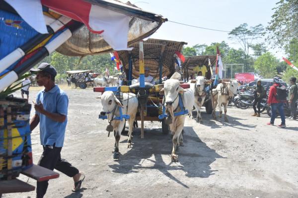 Buka Festival Gerobak Sapi, Wabup Sleman Harap Dapat Tingkatkan Kunjungan Wisatawan