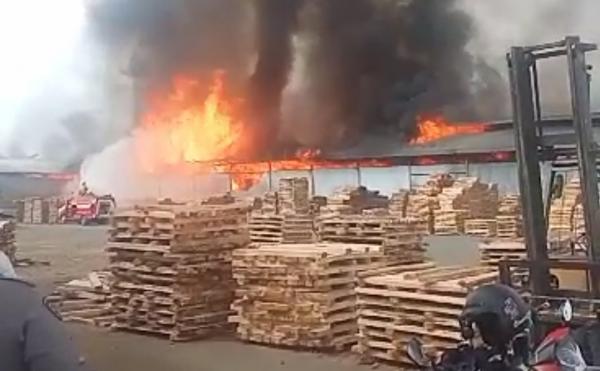 Kebakaran Hari Ini, Pabrik Pengolahan Kayu PT KBN di Ciamis Terbakar