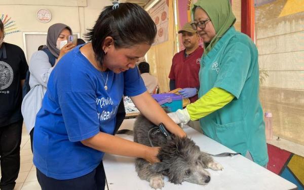 Rabies Mewabah di Bali, PERKIN Vaksin 4 Hewan Ini di Jakarta