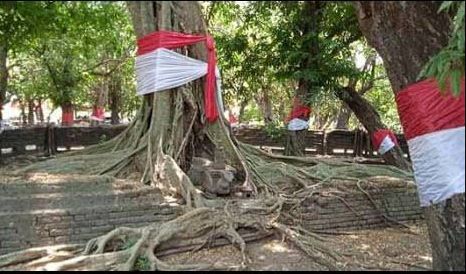 Kisah Keberadaan Taman Sukosewu Ponorogo, Saksi Bisu Perjuangan Pangeran Diponegoro