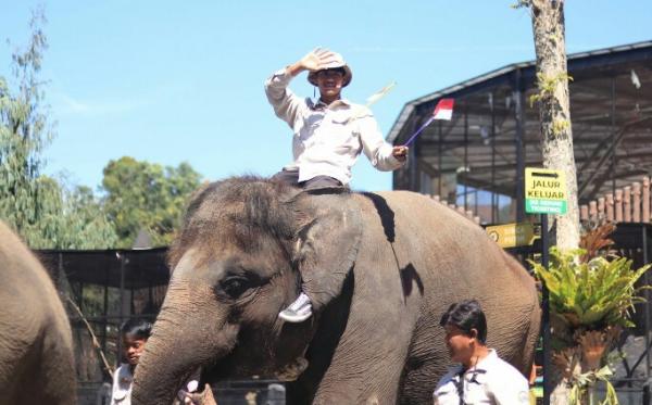 Meriahkan HUT RI, Lembang Park and Zoo Gelar Parade Satwa bagi Pengunjung