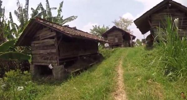 Penampakan Kampung Kambing di Desa Cibuntu