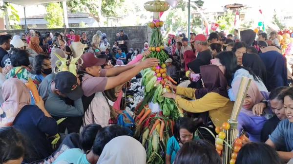 Ratusan Warga Berebut Gunungan Hasil Bumi Dalam Kegiatan Bersih Desa