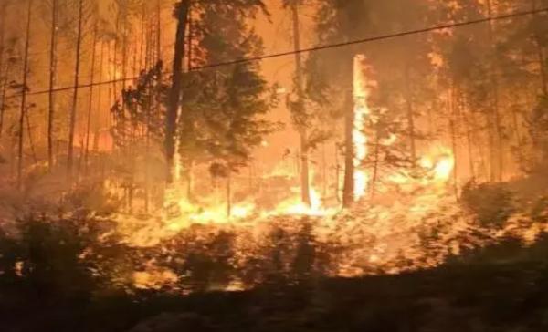 Ngeri! Kebakaran Hutan Dahsyat di Kanada, 4 Petugas Pemadam Tewas