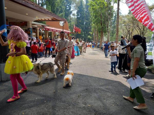 Parade Budaya dan Satwa Peringatan HUT RI ke-78 di Taman Safari Bogor Bertajuk Kebinekaan