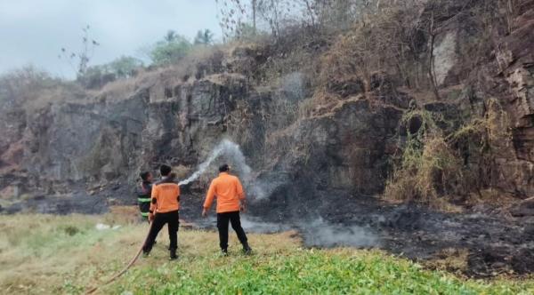 Kebakaran Hutan dan Lahan di Cilegon, Api dari Sampah Menyambar Rumput Kering