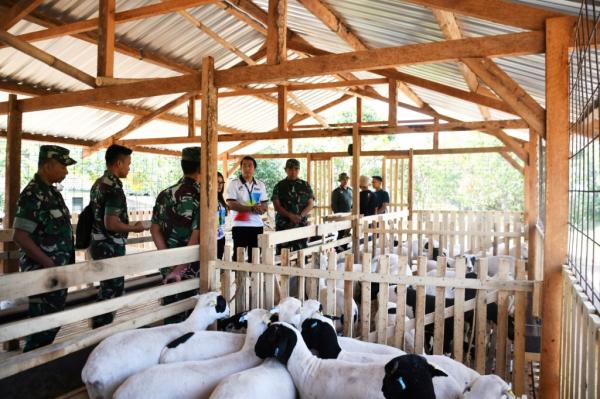 Dukung Ketahanan Pangan, Korem 074/Warastratama Buat Kandang Domba di Boyolali