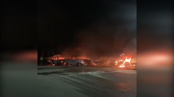 Terbakarnya 12 Unit Kendaraan Dinas, Sekretariat DPR Papua Masih Tunggu Hasil Penyelidikan Polisi