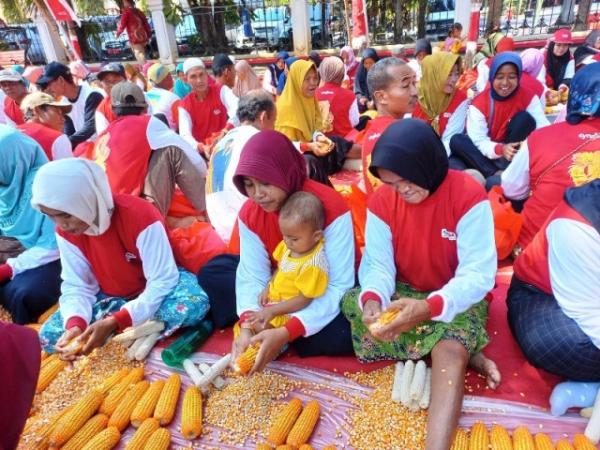 1.128 Petani di Grobogan Pecahkan Rekor MURI Pipil Jagung Dengan Peserta Terbanyak