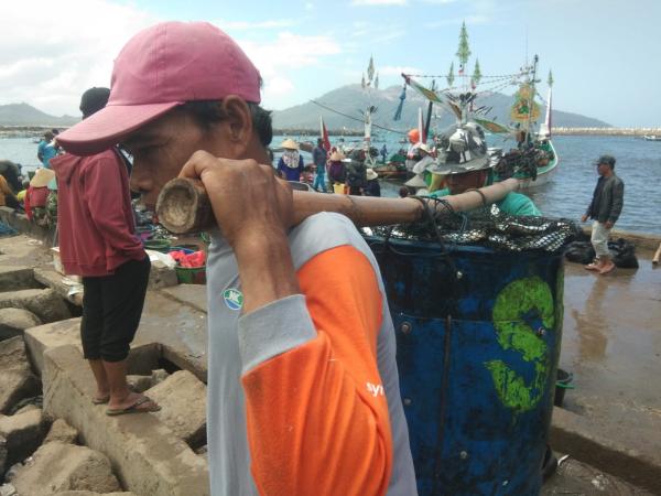 Nelayan Banyuwangi Panen Raya, dapat Ikan Lemuru hingga Layang yang Dicari Industri