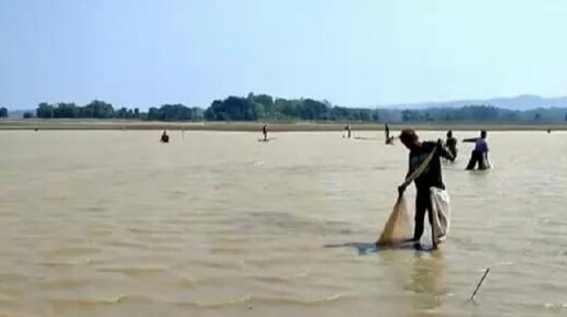 Dampak Kemarau Debit Air Waduk Sedong Menyusut, Warga Manfaatkan untuk Berburu Ikan