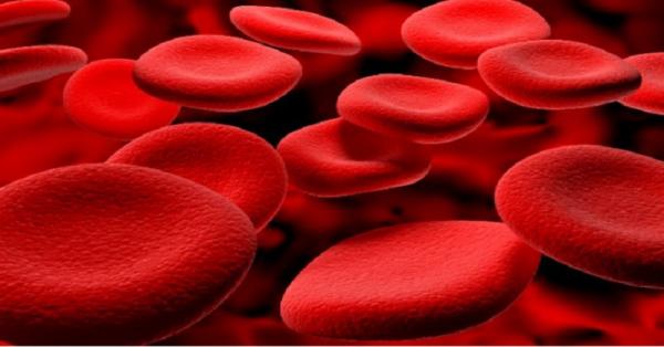 Alquran dan Sains Ungkap Peredaran Darah dan Susu Terpisah di Dalam Tubuh