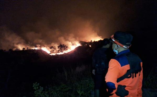 Karhutla Gunung Ciremai di Kuningan, 151 Hektare Kawasan Taman Nasional Terbakar
