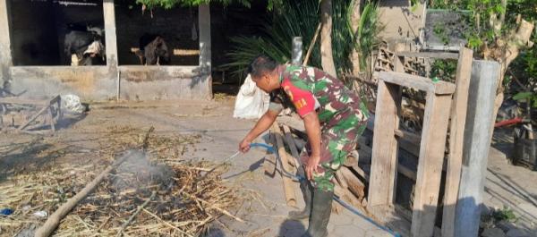 Inovatif, Anggota TNI Olah Kotoran Sapi Jadi Biogas, Ampuh Menghemat Biaya Belanja Dapur