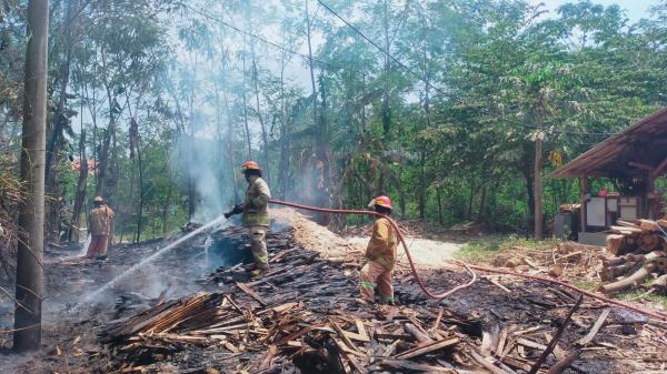 Karyawan Bakar Sampah, Tumpukan Serbuk Kayu Sengon di Banyuanyar Terbakar