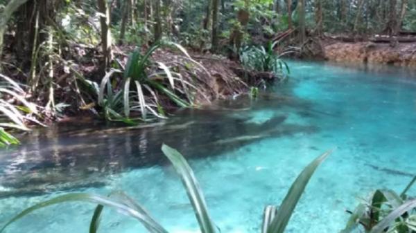 5 Fakta Menarik Kali Biru di Papua, Airnya Bisa Langsung Diminum