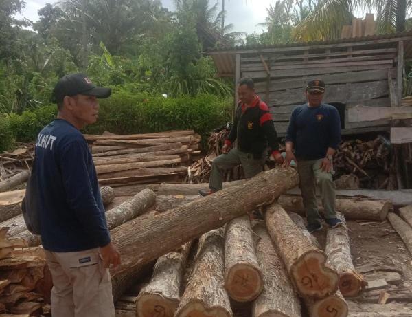 DPO Ilegal Logging Banyuwangi Berhasil Diamankan, Tak Berkutik Disergap Petugas