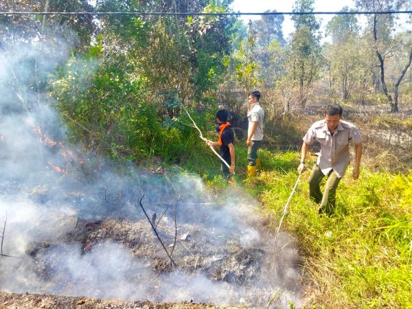 20 Hektare Lahan di Pantai Pasir Padi Pangkalpinang Hangus Terbakar