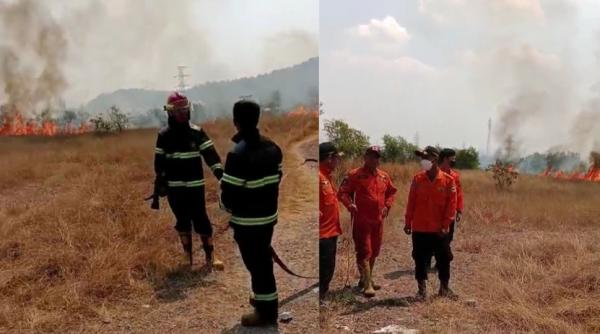 Padang Ilalang 10 Hektare di Cilegon Terbakar, 3 Mobil Damkar Dikerahkan