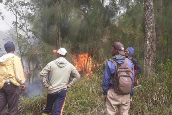 9 Hektare Hutan Lereng Gunung Lawu Ludes Terbakar, Pemadaman Masih Berlangsung