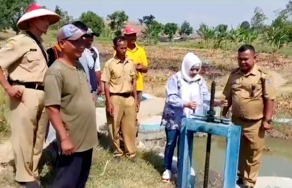450 Ha Sawah di Kabupaten Tegal  Dapat Aliran Air Tambahan, Petani Gembira