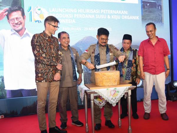 Keju Organik Diproduksi di Indonesia,  Peternak Susu Bakal Naik Kelas