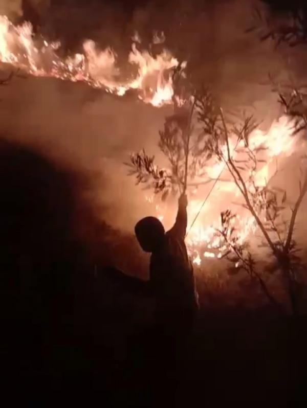 10 Hektare Padang Savana Kawah Wurung Terbakar