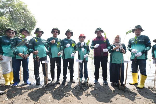 Pertamina Project Balongan Tanam 55 Ribu Pohon Mangrove di Pantai Tiris Indramayu