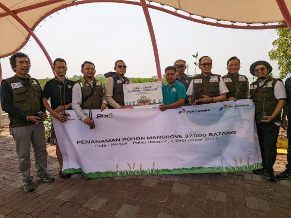 Jaga Lingkungan, PHE ONWJ dan PHE OSES Tanam Puluhan Ribu Bibit Mangrove di Kepulauan Seribu