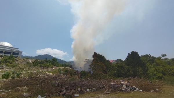 BREAKING NEWS: Diduga Terjadi Kebakaran Hutan di Sekitar Kantor Gubernur Sulbar