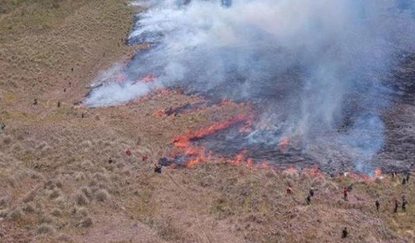 Gegara Kebakaran di Bukit Teletubbies, Wisata Gunung Bromo Kembali Ditutup