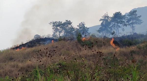 Diduga Akibat Puntung Rokok, Dua Hektar Lahan Hutan Gunung Guntur Garut Terbakar