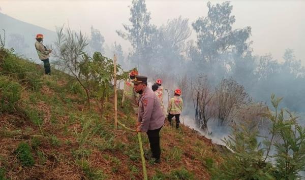 Kebakaran Hutan di Kawasan Bromo Meluas, Jalur Malang-Lumajang lewat Poncokusumo Ditutup