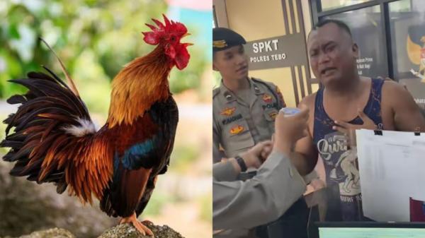 Viral Pria Bertubuh Kekar Nangis Histeris di Kantor Polisi Lapor Ayam Hilang, Ini Kata Kapolres Tebo