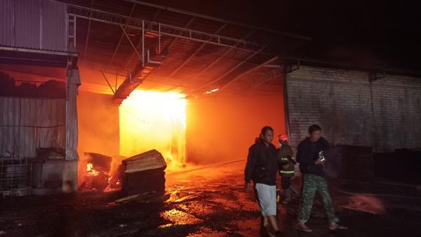Pabrik Veneer Triplek di Lebak Banten Terbakar, Sumber Api Diduga dari Pembakaran Limbah