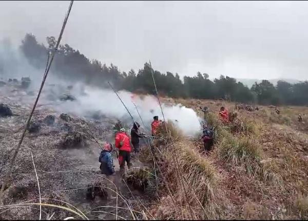 Kebakaran karena Ulah Calon Pengantin di Gunung Bromo Belum Padam Total