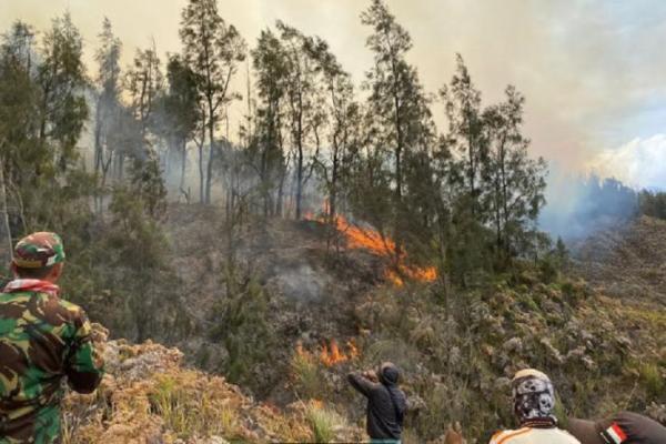 Ngeri! Dikejar Api Hingga Nyaris Terjebak Kebakaran, Relawan Gunung Bromo Pantang Mundur