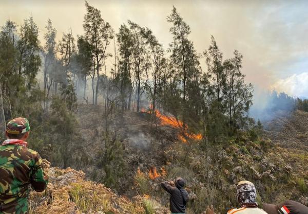 Perjuangan Relawan Padamkan Api di Gunung Bromo, Dikejar Api Nyaris Terjebak dan Terbakar