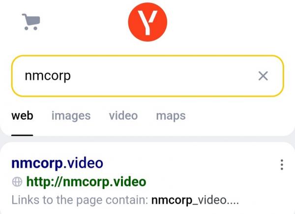 Link Download nmcorp Video Player APK setelah Diblokir Yandex, Simak di Sini