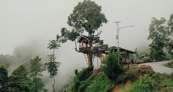 Keunikan Desa Renah Kayu Embun di Jambi, Mirip Negeri Kayangan dengan Pemandangan Menakjubkan