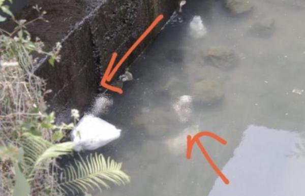 Seorang Pemancing Temukan Dua Mayat Bayi Kembar di Sungai Sleman, Kondisinya Mengenaskan!