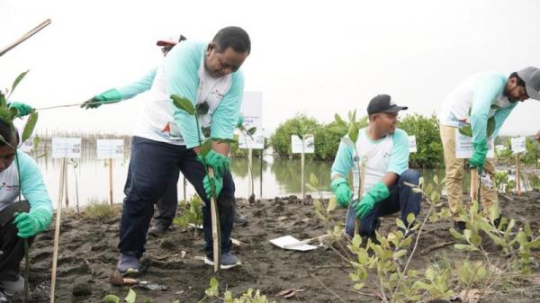 Pertamina Patra Niaga Bersihkan Pantai Tirang dan Tanam Mangrove