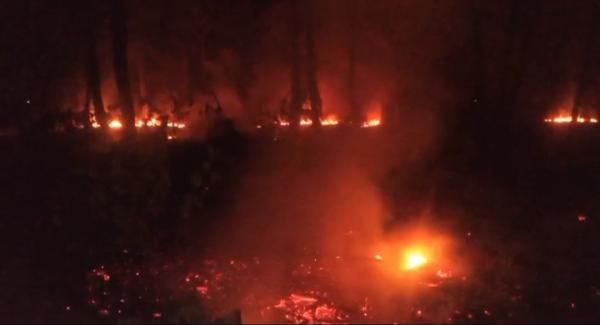 Lahan 1 Hektare di Pandeglang Ludes Terbakar, Api Nyaris Membakar Hotel