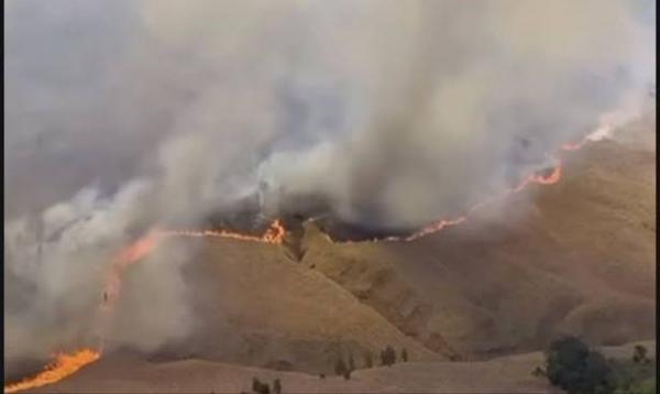 Soal Kebakaran, Kuasa Hukum Prewedding Bakal Tuntut Balik Pengelola Gunung Bromo